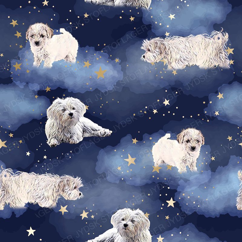 Malteser Hunde | Nattehimmel-Kopi