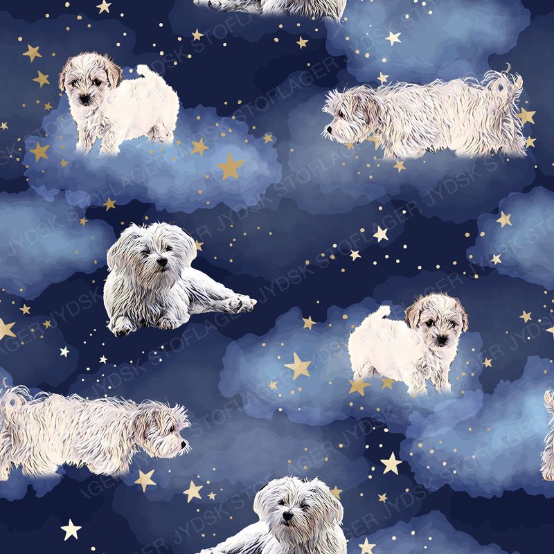 Malteser Hunde | Nattehimmel