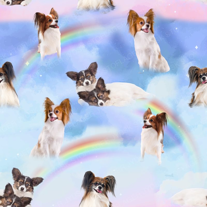 Papillon Design 2