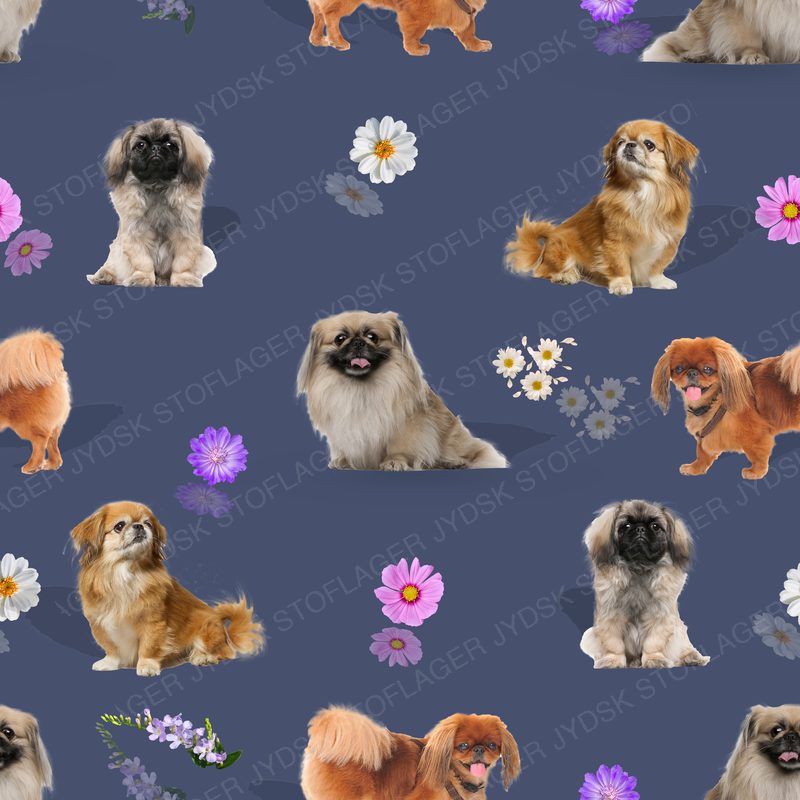 Pekingeser Design 3 - Seamless Copy