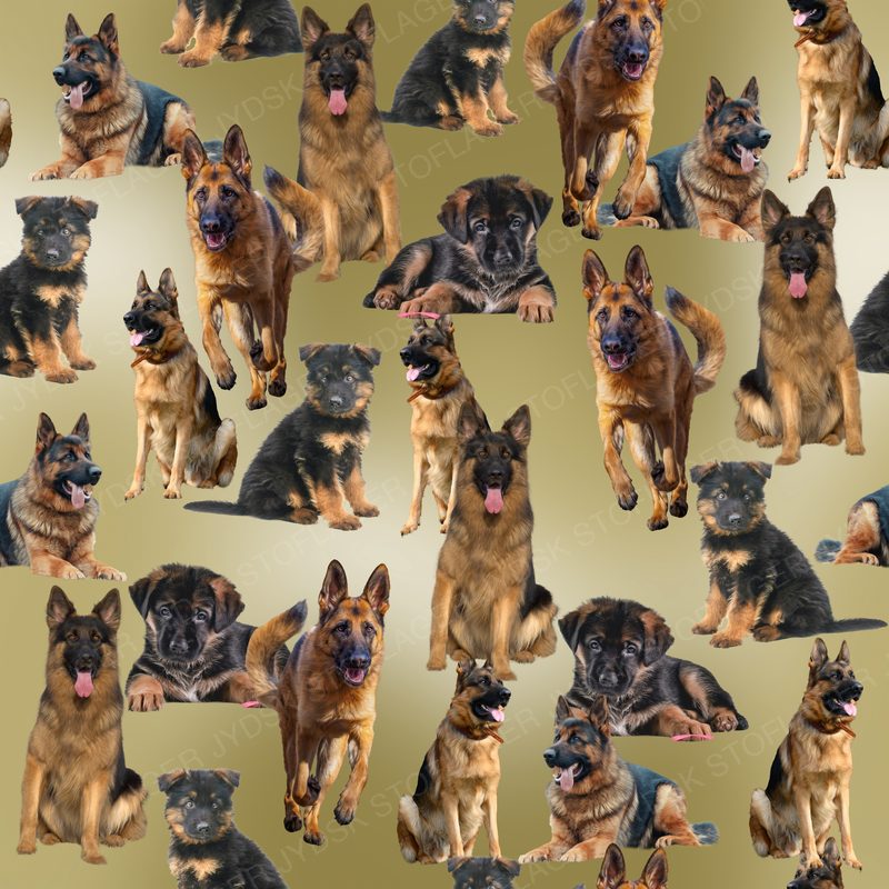 Schæferhund Design 4