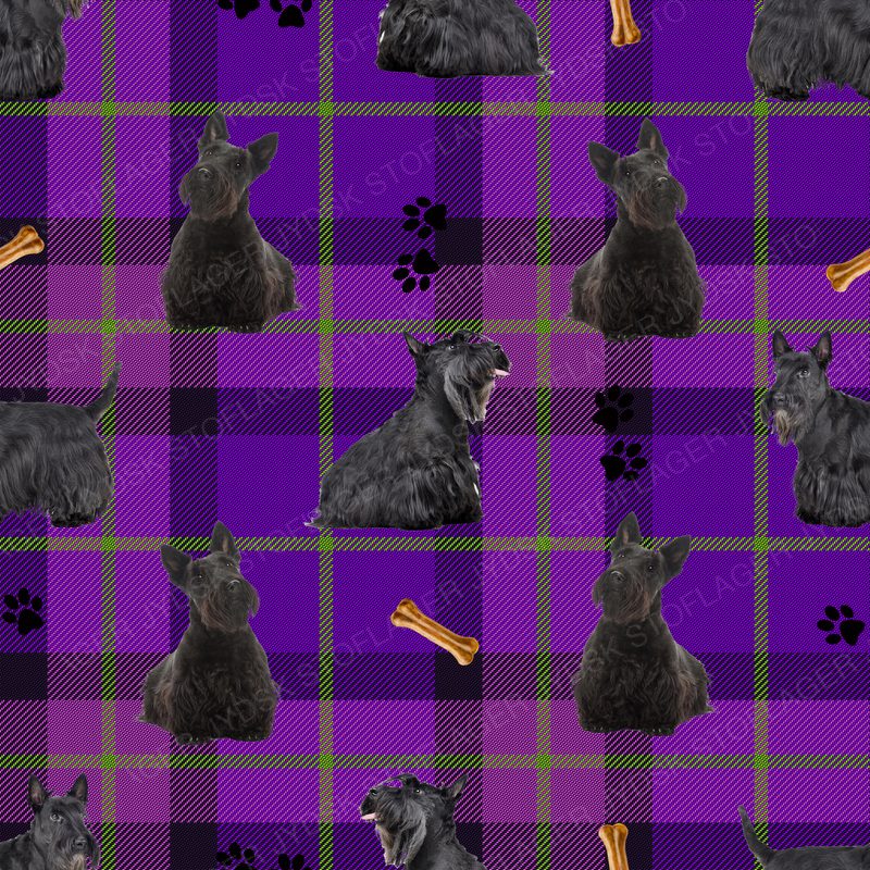 Scottish Terrier Design 1-Kopi
