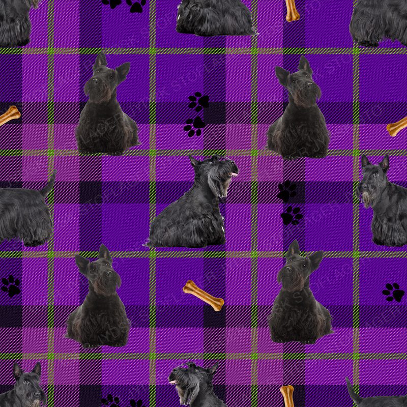 Scottish Terrier Design 1