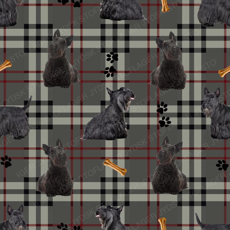 Scottish Terrier Design 2