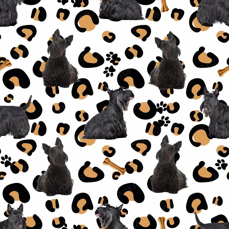 Scottish Terrier Design 6