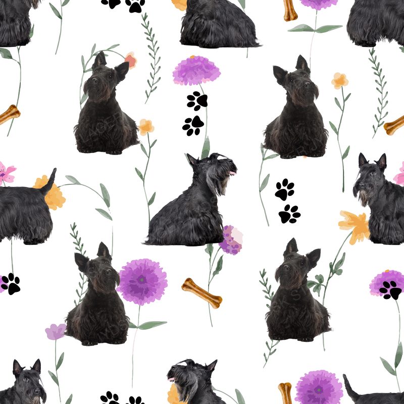 Scottish Terrier Design 7 ( 300 Dpi)