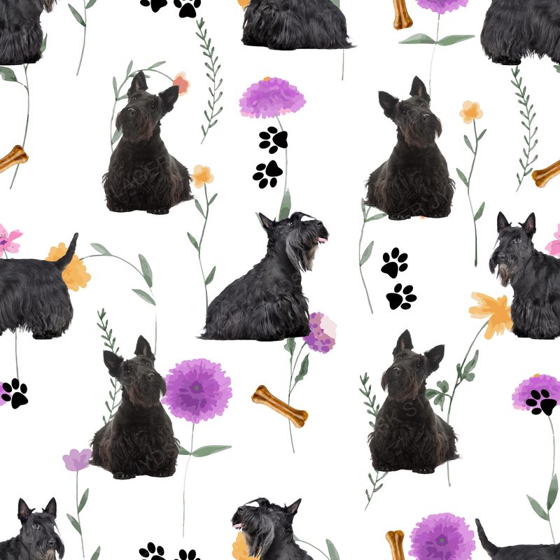 Scottish Terrier Design 7