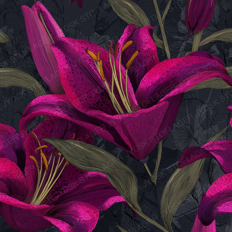 Dark Pink and Purple Lilies