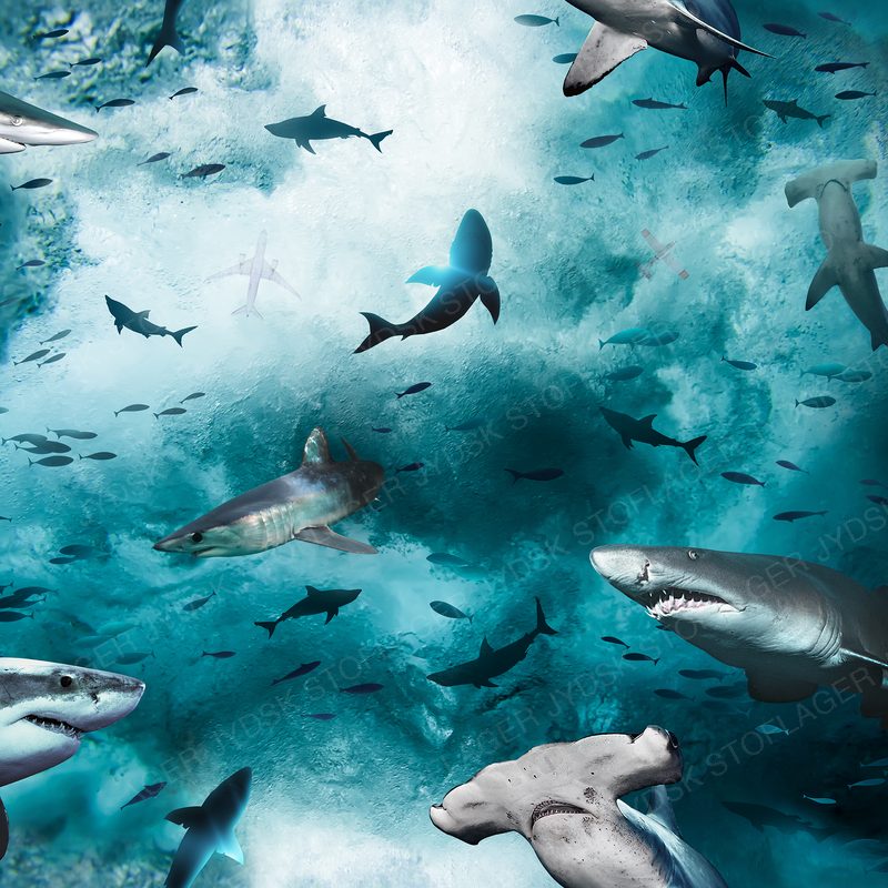 Sharks and Planes - V08 Preview