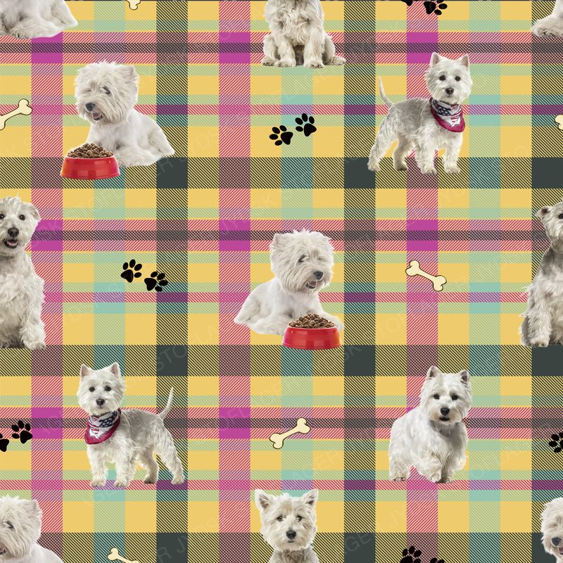 Westie (Westie Dogs)