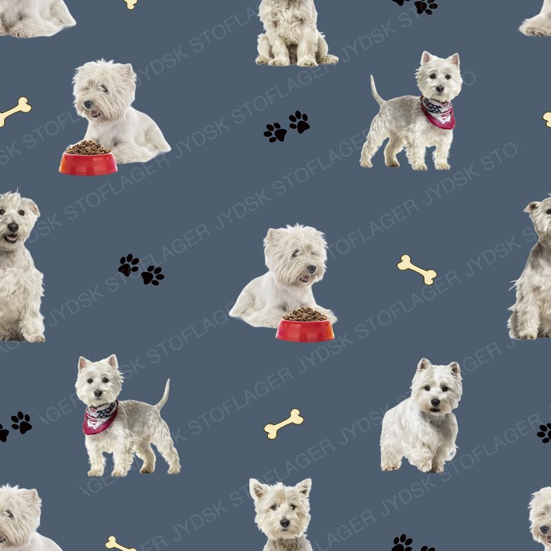 Westie