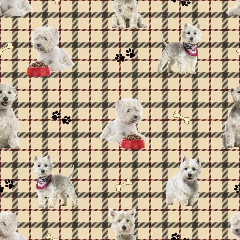 Westie (Westie Dogs)