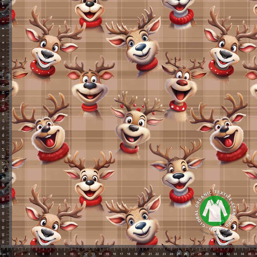 Jerseyprint med Rudolph og tern