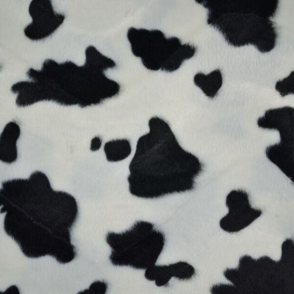 COW - BLACK WHITE