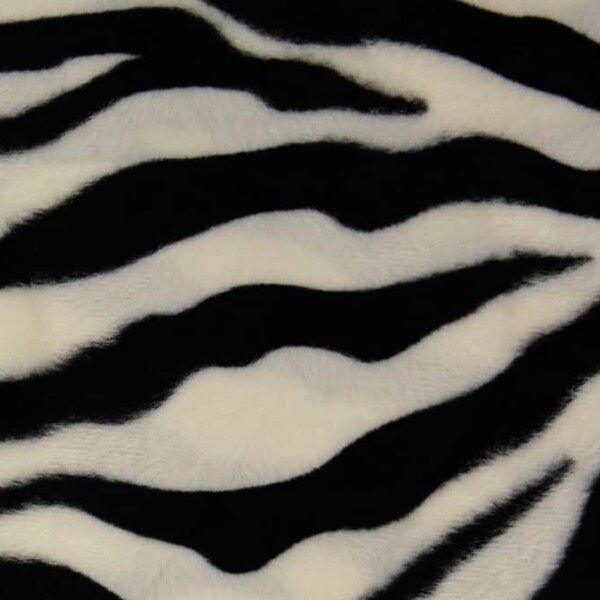ZEBRA - BLACK WHITE