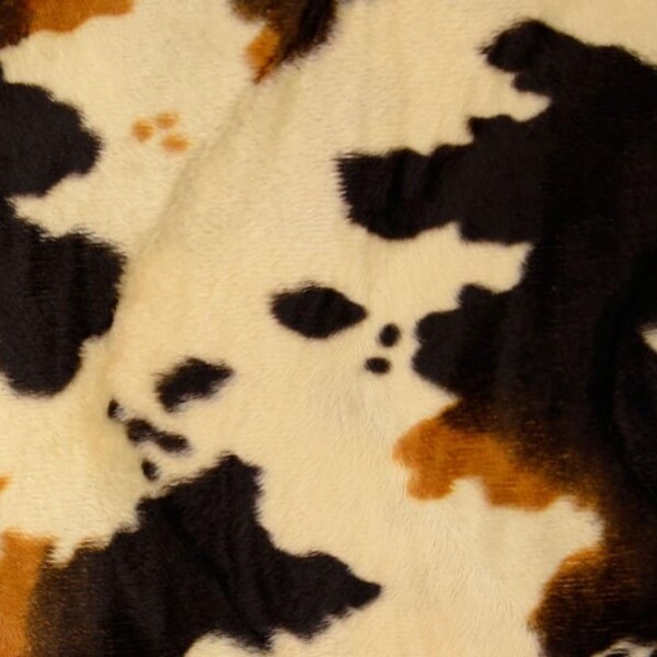 COW - BROWN WHITE