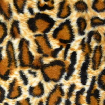 LEOPARD 2