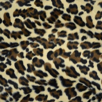 LEOPARD 3