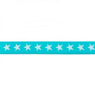 Elastic with stars, 2 colors - 20mm - Dark mint