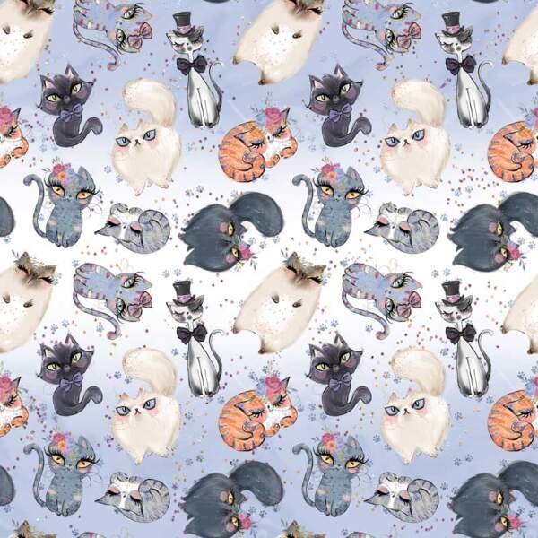 Cats-1.jpg