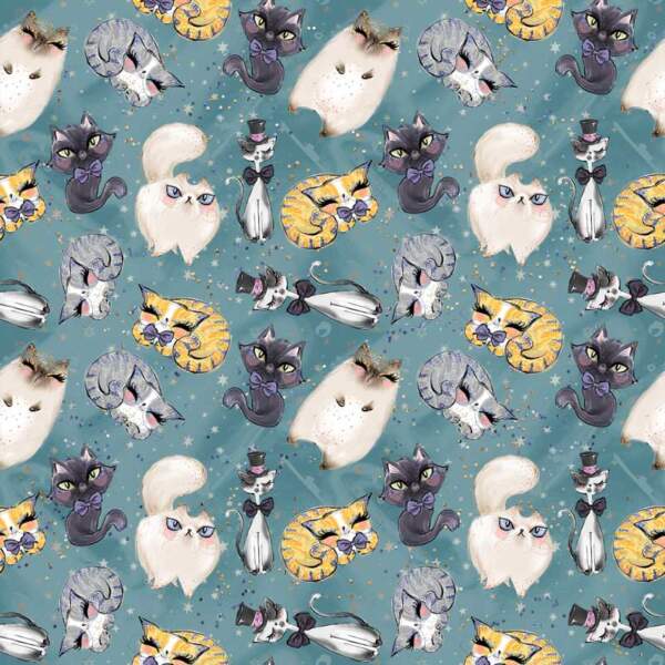 Cats-2.jpg