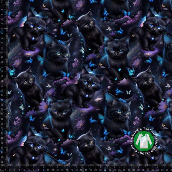 Dark-cats-measurement.jpg