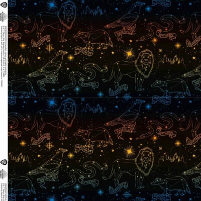 Jersey print with the 4 colleges - Harry potter theme