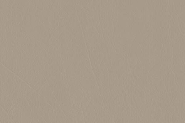 Leather-4.jpg