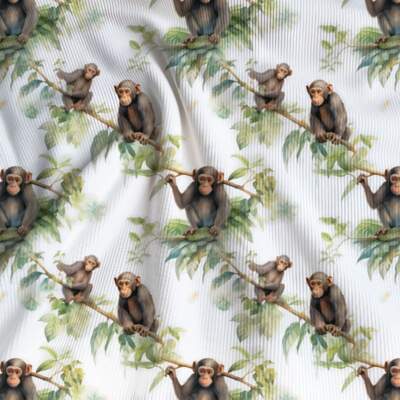 Rib jersey - Monkey