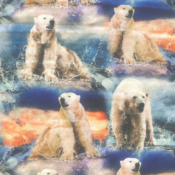 Jersey print with polar bears on water digital print cotton jersey 220 g/m²