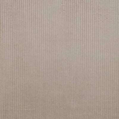 Corduroy velvet - Sand