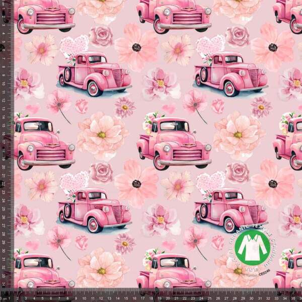 Jersey print with pink Chevy's