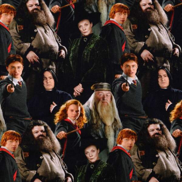 Harry Potterin painettu Jersey