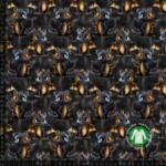 Jersey print med glade drager