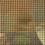 Foil with squares - Gold