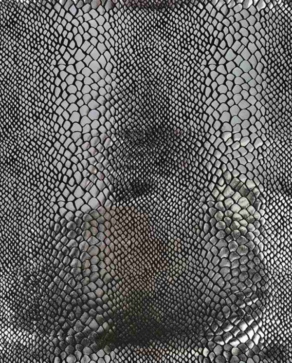 silver snake Folie med Slangeskin - Sølv