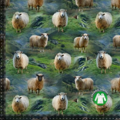 Jersey print with sheep
