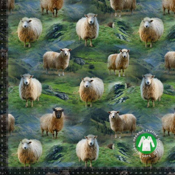 Jersey print med får