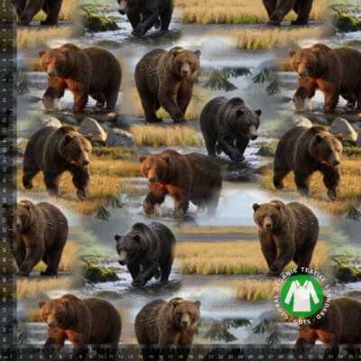 Jersey print med flotte bjørne