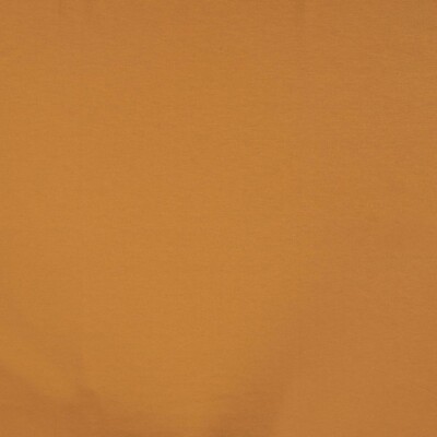 Champagne viscose jersey 95% viscose 5% lycra 145-150 cm