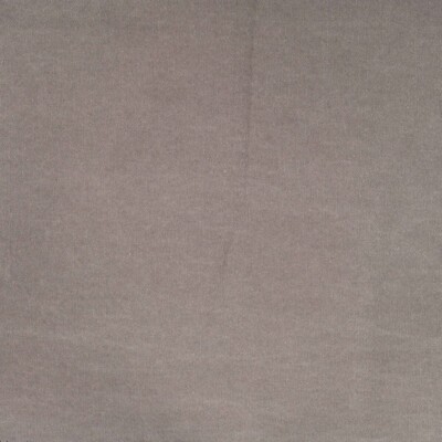 Waxed canvas Cloud Grey close-up of surface