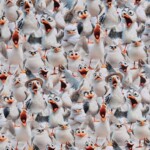 Jersey print med sjove måger i hvid digitalprint jersey