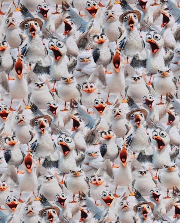 imgi_28_dsc_151 Jersey print med sjove måger i hvid digitalprint jersey