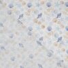 Close-up of seashell motif on lightweight cotton canvas, 75 g/m²