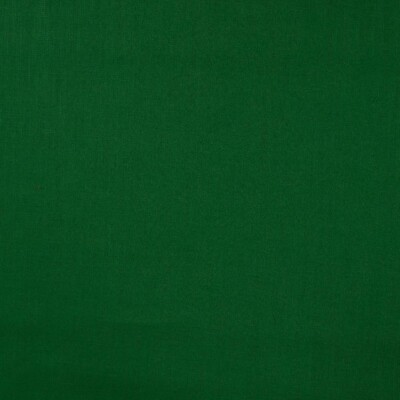 Grass linen fabric