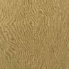 Curry Yellow merino wool jersey, laid flat to show the rib knit